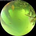 ./images/calvert/underwater/20260623/underwater20260623_110501M.jpg