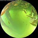 ./images/calvert/underwater/20260623/underwater20260623_111001M.jpg