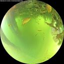 ./images/calvert/underwater/20260623/underwater20260623_112501M.jpg