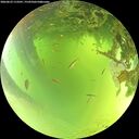 ./images/calvert/underwater/20260623/underwater20260623_113501M.jpg
