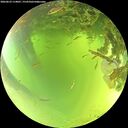 ./images/calvert/underwater/20260623/underwater20260623_114001M.jpg