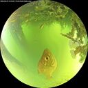 ./images/calvert/underwater/20260623/underwater20260623_115502M.jpg