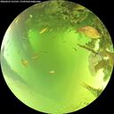 ./images/calvert/underwater/20260623/underwater20260623_121501M.jpg
