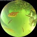 ./images/calvert/underwater/20260623/underwater20260623_122001M.jpg