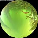 ./images/calvert/underwater/20260623/underwater20260623_123001M.jpg