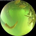./images/calvert/underwater/20260623/underwater20260623_125502M.jpg