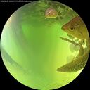 ./images/calvert/underwater/20260623/underwater20260623_135001M.jpg