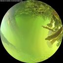 ./images/calvert/underwater/20260623/underwater20260623_142002M.jpg