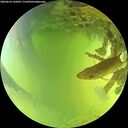 ./images/calvert/underwater/20260623/underwater20260623_143001M.jpg
