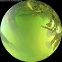 ./images/calvert/underwater/20260623/underwater20260623_143501M.jpg