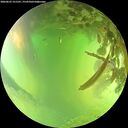 ./images/calvert/underwater/20260623/underwater20260623_151501M.jpg