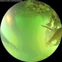 ./images/calvert/underwater/20260623/underwater20260623_152001M.jpg