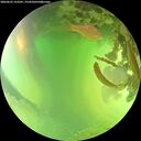 ./images/calvert/underwater/20260623/underwater20260623_152501M.jpg