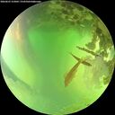 ./images/calvert/underwater/20260623/underwater20260623_153001M.jpg