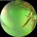 ./images/calvert/underwater/20260623/underwater20260623_153501M.jpg