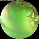 ./images/calvert/underwater/20260623/underwater20260623_154502M.jpg