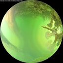 ./images/calvert/underwater/20260623/underwater20260623_155001M.jpg