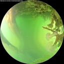 ./images/calvert/underwater/20260623/underwater20260623_155501M.jpg