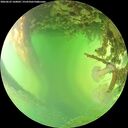 ./images/calvert/underwater/20260623/underwater20260623_160001M.jpg