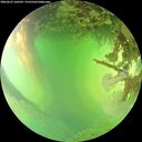./images/calvert/underwater/20260623/underwater20260623_160502M.jpg