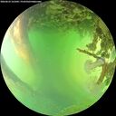 ./images/calvert/underwater/20260623/underwater20260623_161002M.jpg