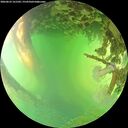./images/calvert/underwater/20260623/underwater20260623_161501M.jpg