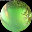 ./images/calvert/underwater/20260623/underwater20260623_162001M.jpg