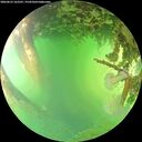 ./images/calvert/underwater/20260623/underwater20260623_162501M.jpg