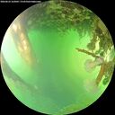 ./images/calvert/underwater/20260623/underwater20260623_163002M.jpg