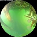 ./images/calvert/underwater/20260623/underwater20260623_163501M.jpg
