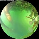 ./images/calvert/underwater/20260623/underwater20260623_164002M.jpg