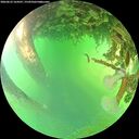 ./images/calvert/underwater/20260623/underwater20260623_164501M.jpg