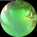 ./images/calvert/underwater/20260623/underwater20260623_165001M.jpg