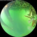 ./images/calvert/underwater/20260623/underwater20260623_165501M.jpg