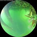 ./images/calvert/underwater/20260623/underwater20260623_170501M.jpg