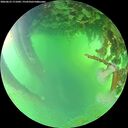 ./images/calvert/underwater/20260623/underwater20260623_171001M.jpg