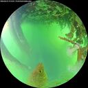 ./images/calvert/underwater/20260623/underwater20260623_171501M.jpg