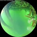 ./images/calvert/underwater/20260623/underwater20260623_174001M.jpg