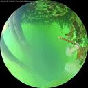 ./images/calvert/underwater/20260623/underwater20260623_175001M.jpg