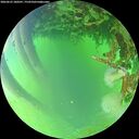 ./images/calvert/underwater/20260623/underwater20260623_180501M.jpg