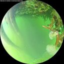 ./images/calvert/underwater/20260623/underwater20260623_183001M.jpg