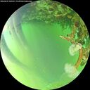 ./images/calvert/underwater/20260623/underwater20260623_183501M.jpg