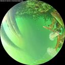 ./images/calvert/underwater/20260623/underwater20260623_185501M.jpg