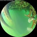 ./images/calvert/underwater/20260623/underwater20260623_190001M.jpg