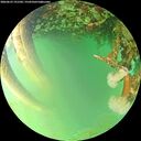 ./images/calvert/underwater/20260623/underwater20260623_191501M.jpg