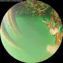 ./images/calvert/underwater/20260623/underwater20260623_202002M.jpg