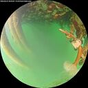 ./images/calvert/underwater/20260623/underwater20260623_204502M.jpg