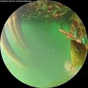 ./images/calvert/underwater/20260623/underwater20260623_205501M.jpg