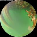 ./images/calvert/underwater/20260623/underwater20260623_210001M.jpg