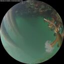 ./images/calvert/underwater/20260623/underwater20260623_220001M.jpg